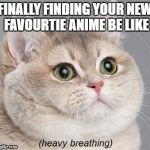 fat cat | FINALLY FINDING YOUR NEW FAVOURTIE ANIME BE LIKE | image tagged in fat cat | made w/ Imgflip meme maker
