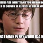 Harry Potter Stoned | IF NUMBERS ARE INFINITE AND YOU NEED AN INFINITE NUMBER OF SOUNDS TO REPRESENT THOSE NUMBERS, DOES THAT MEAN EVERY WORD IS A NUMBER | image tagged in harry potter stoned | made w/ Imgflip meme maker