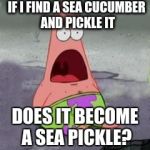 ILLUMINATI CONFIRMED | IF I FIND A SEA CUCUMBER AND PICKLE IT; DOES IT BECOME A SEA PICKLE? | image tagged in illuminati confirmed | made w/ Imgflip meme maker