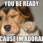 puppy | YOU BE READY; BECAUSE IM ADORABLE | image tagged in puppy | made w/ Imgflip meme maker