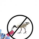 Don't Feed Ibis