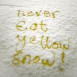 Yellow Snow meme