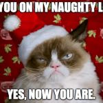 Christmas is my favorite time of year! | ARE YOU ON MY NAUGHTY LIST? YES, NOW YOU ARE. | image tagged in grumpy santa cat,memes | made w/ Imgflip meme maker