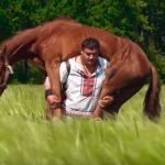 In Ukraine horse ride you  meme