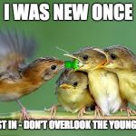I was new once | I WAS NEW ONCE; POP TO LATEST IN - DON'T OVERLOOK THE YOUNGER MEMBERS | image tagged in we all need to be noticed | made w/ Imgflip meme maker