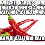 Definitely too subtle but it's going in because it's original... | WATCHED NARCOS 3 AND NOTICED THERE'S A NEW REALLY HOT ACTRESS .. NOW I; DREAM OF CALI FORNICATION | image tagged in hot peppers,narcos,california,californication | made w/ Imgflip meme maker