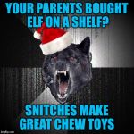 Christmas Insanity Wolf | YOUR PARENTS BOUGHT ELF ON A SHELF? SNITCHES MAKE GREAT CHEW TOYS | image tagged in christmas insanity wolf,americanpenguin | made w/ Imgflip meme maker