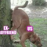 Dog wiping ass on tree | BOYFRIEND; US; EX- | image tagged in dog wiping ass on tree | made w/ Imgflip meme maker