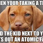 Really dog | WHEN YOUR TAKING A TEST; AND THE KID NEXT TO YOU LETS OUT AN ATOMIC FART | image tagged in really dog | made w/ Imgflip meme maker