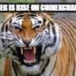 tiger!!!!! | TIGER IS RISE ON COINEXCHANGE | image tagged in tiger | made w/ Imgflip meme maker