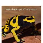 hippity hoppity meme