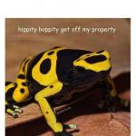 hippity hoppity