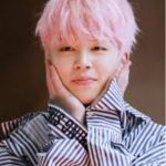 Jimin BTS | WHY PARK JIMIN; WHEN YOU CAN RIDE JIMIN | image tagged in jimin bts | made w/ Imgflip meme maker