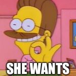 Ned flanders | WHEN SHE SAYS; SHE WANTS THE DIDDLY | image tagged in ned flanders | made w/ Imgflip meme maker