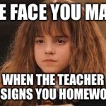 Harry Potter - Miss Granger is NOT amused | THE FACE YOU MAKE; WHEN THE TEACHER ASSIGNS YOU HOMEWORK | image tagged in harry potter - miss granger is not amused | made w/ Imgflip meme maker