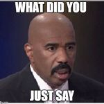 Steve Harvey | WHAT DID YOU; JUST SAY | image tagged in steve harvey | made w/ Imgflip meme maker