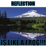 Reflection of light | REFLECTION; IS LIKE A FROG!!! | image tagged in reflection of light | made w/ Imgflip meme maker