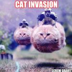 star wars cats | CAT INVASION; SCREW GRAVITY | image tagged in star wars cats | made w/ Imgflip meme maker