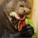 Self Loathing Otter | WHEN YOU EAT YOUR; MENTAL BREAKDOWN AWAY | image tagged in memes,self loathing otter | made w/ Imgflip meme maker