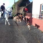 foxhunt in Ireland