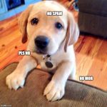 Puppy dog eyes | NO SPAM; PLS NO; NO MOR | image tagged in puppy dog eyes | made w/ Imgflip meme maker