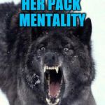 Bad Pun Insanity Wolf | WHY DOES MY WIFE TAKE SO LONG TO GET READY FOR A TRIP? HER PACK MENTALITY | image tagged in bad pun insanity wolf,americanpenguin | made w/ Imgflip meme maker