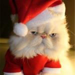 ho ho ho