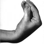 Italian Hand Gesture