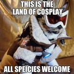 Overwatch Cat | THIS IS THE LAND OF COSPLAY; ALL SPEICIES WELCOME | image tagged in overwatch cat | made w/ Imgflip meme maker