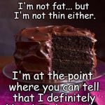 Chocolate Cake <3 | I'm not fat... but I'm not thin either. I'm at the point where you can tell that I definitely like chocolate cake. | image tagged in chocolate cake 3 | made w/ Imgflip meme maker