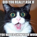 Suprised-cat | DID YOU REALLY ASK IF; YOU HAD TO SHOW YOUR WORK | image tagged in suprised-cat | made w/ Imgflip meme maker
