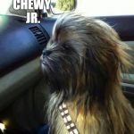 Chewy | CHEWY JR. | image tagged in chewy | made w/ Imgflip meme maker