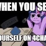 MLG Pony | WHEN YOU SEE; YOURSELF ON 4CHAN | image tagged in mlg pony | made w/ Imgflip meme maker
