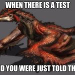 Rathalos | WHEN THERE IS A TEST; AND YOU WERE JUST TOLD THAT | image tagged in rathalos | made w/ Imgflip meme maker