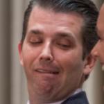 Donald Trump Jr Face meme