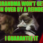Grumpy Cat Driving | GRANDMA WON’T GET RUN OVER BY A REINDEER; I GUARANTEE IT | image tagged in grumpy cat driving,americanpenguin | made w/ Imgflip meme maker
