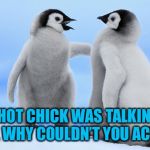 Baby Penguin Telling Off Another Baby Penguin | THE HOT CHICK WAS TALKING TO ME CUZ, WHY COULDN’T YOU ACT COOL? | image tagged in baby penguin telling off another baby penguin,americanpenguin | made w/ Imgflip meme maker