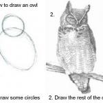 draw an owl meme