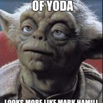 wtf yoda?  | THIS PICTURE OF YODA; LOOKS MORE LIKE MARK HAMILL THAN MARK HAMILL DOES | image tagged in wtf yoda | made w/ Imgflip meme maker