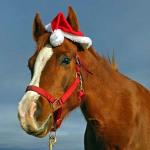 Christmas Horse