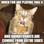 Scared cat | WHEN YOU ARE PLAYING FNAF 6; AND ANIMATRONICS ARE COMING FROM BOTHE SIDES | image tagged in scared cat | made w/ Imgflip meme maker
