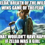 ;) | ZELDA: BREATH OF THE WILD; WINS GAME OF THE YEAR; BET THAT WOULDN'T HAVE HAPPENED IF ZELDA WAS A GIRL | image tagged in link,troll,zelda,was a girl,breath of the wild,goty | made w/ Imgflip meme maker