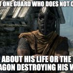 Skyrim guards be like | THAT ONE GUARD WHO DOES NOT CARE; ABOUT HIS LIFE OR THE DRAGON DESTROYING HIS WIFE | image tagged in skyrim guards be like | made w/ Imgflip meme maker