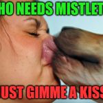 Dog Kisses | WHO NEEDS MISTLETOE; JUST GIMME A KISS | image tagged in dog kisses,memes,mistletoe,merry christmas | made w/ Imgflip meme maker