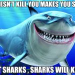 As the saying goes . . . | "WHAT DOESN'T KILL YOU MAKES YOU STRONGER"; EXCEPT SHARKS , SHARKS WILL KILL YOU | image tagged in happy shark,whatever,deadly,sea life | made w/ Imgflip meme maker
