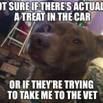 Not Sure If Dog | NOT SURE IF THERE’S ACTUALLY A TREAT IN THE CAR; OR IF THEY’RE TRYING TO TAKE ME TO THE VET | image tagged in not sure if dog | made w/ Imgflip meme maker