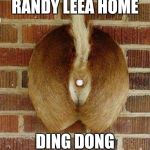 hello are you there hello hole | RANDY LEEA HOME; DING DONG | image tagged in hello are you there hello hole | made w/ Imgflip meme maker