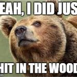 Smug Bear | YEAH, I DID JUST; SHIT IN THE WOODS | image tagged in memes,smug bear | made w/ Imgflip meme maker