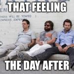 Hangover | THAT FEELING; THE DAY AFTER | image tagged in hangover | made w/ Imgflip meme maker