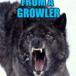 Bad Pun Insanity Wolf | HOW DOES A WOLF DRINK BEER? FROM A GROWLER | image tagged in bad pun insanity wolf,americanpenguin | made w/ Imgflip meme maker
